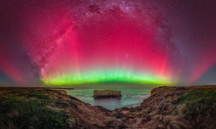 Sony announces Winners of the 2024 Sony Alpha Awards