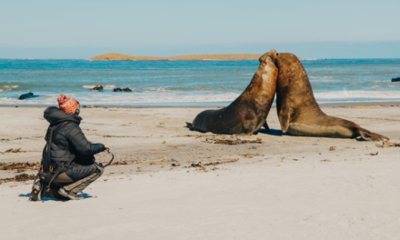 ELLIE WILLIAMS ANSWERS THE CALL OF THE WILD WITH DPA MICROPHONES LAVALIERS